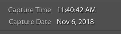 Screen Shot 2019-01-19 at 4.17.10 PM.jpg
